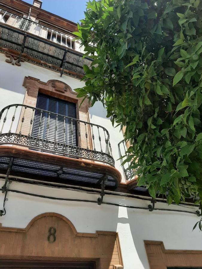 Magallanes Appartement *